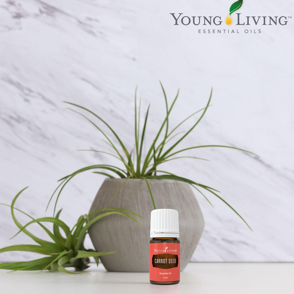Diluting Carrot Seed Essential Oil with carrier oil for safe use