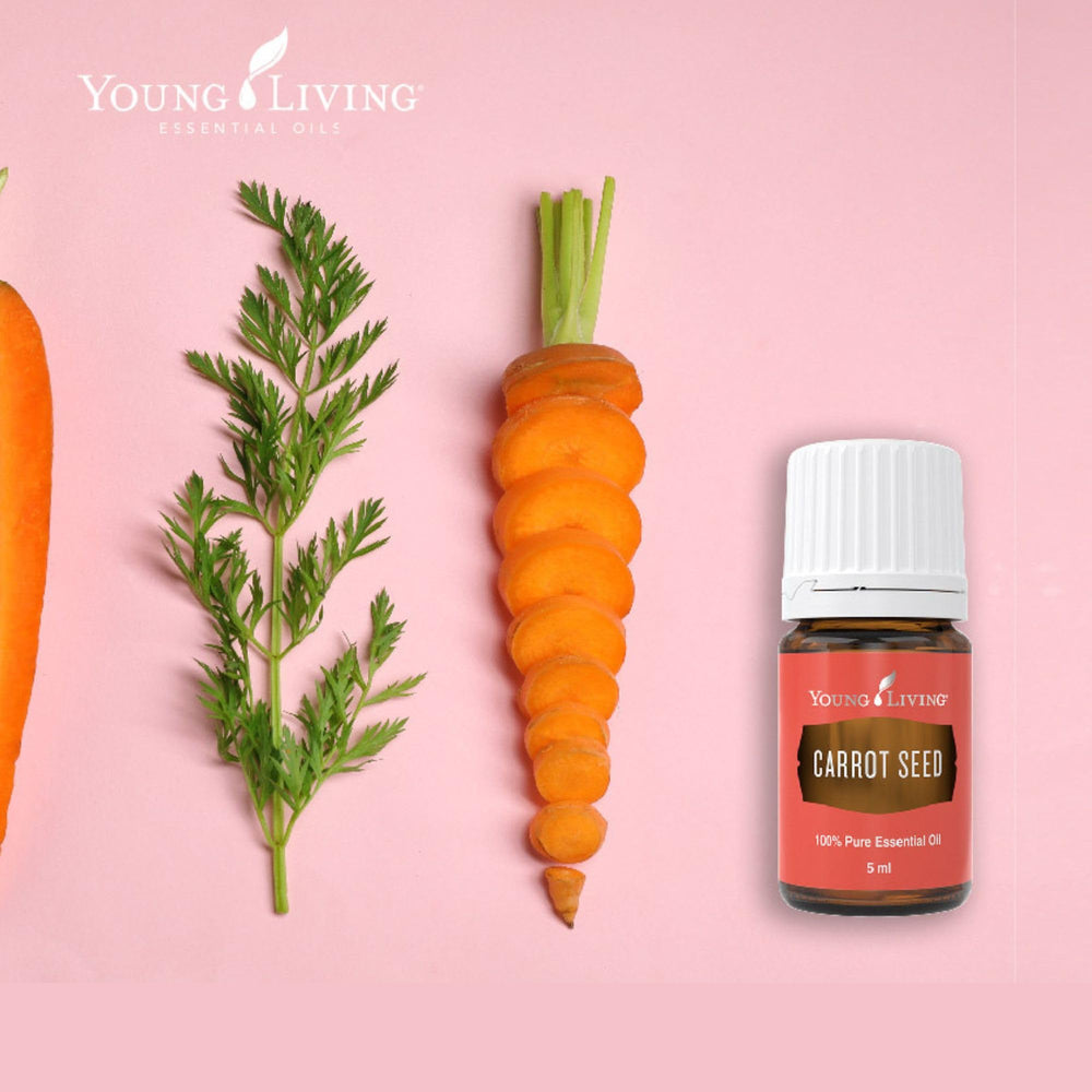 Packaging box for Young Living Carrot Seed Essential Oil