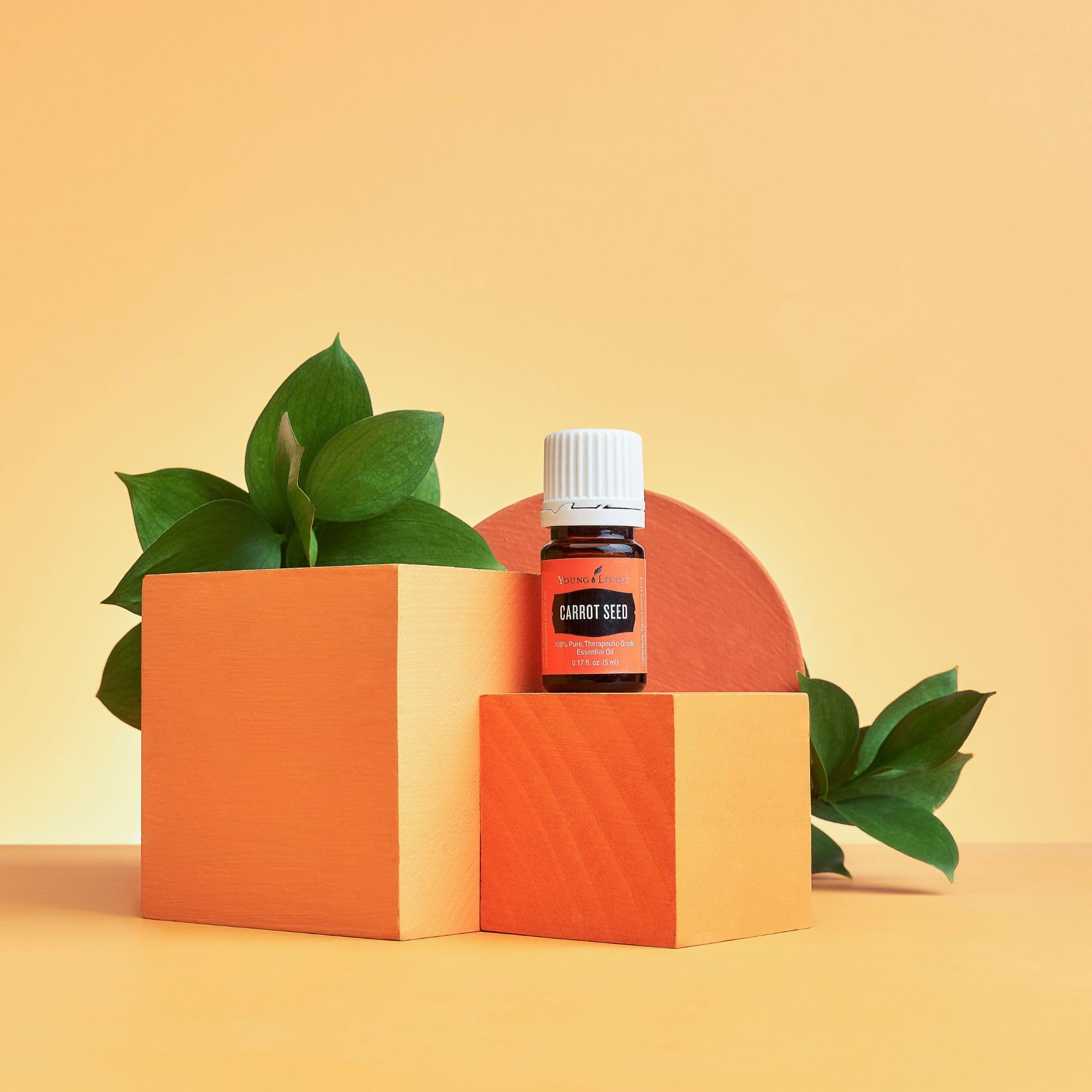 Amber bottle of Young Living Carrot Seed Oil close-up highlighting purity