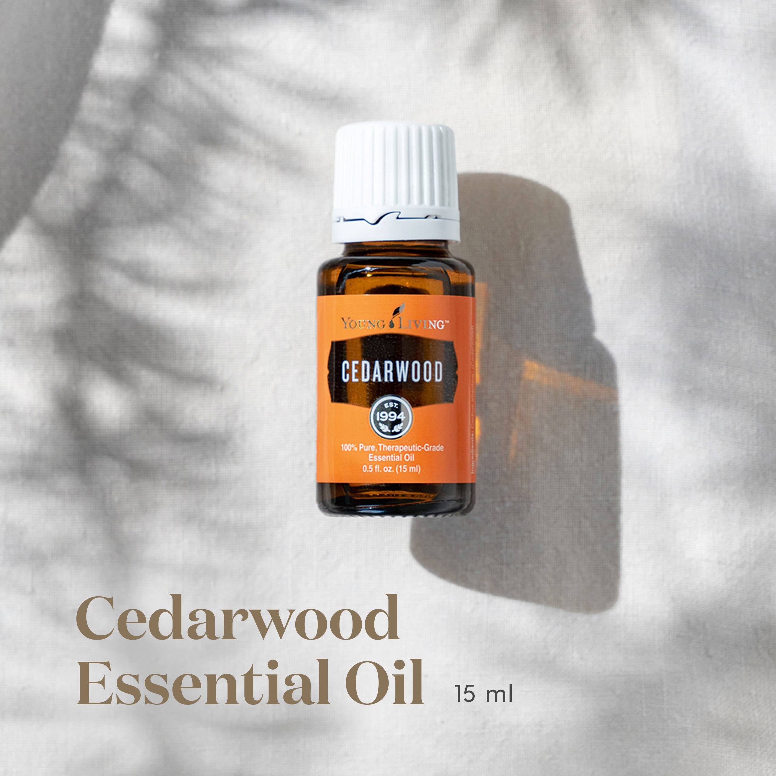 Young Living Cedarwood aroma diffuser scene showing a soothing scent.