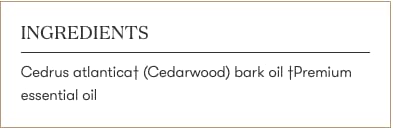 Young Living Cedarwood bedtime routine scene for calm nights.
