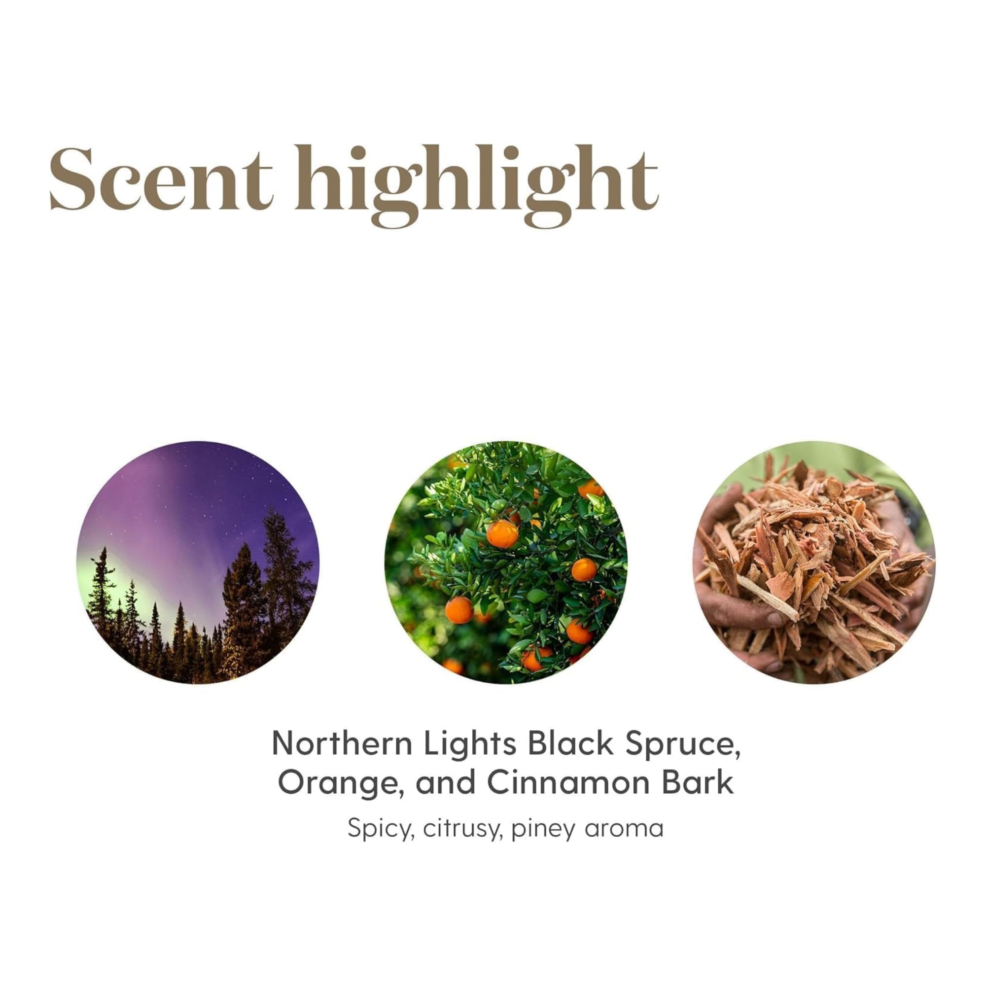 Young Living Christmas Spirit 5ml bottle for easy, on-hand holiday diffusion.