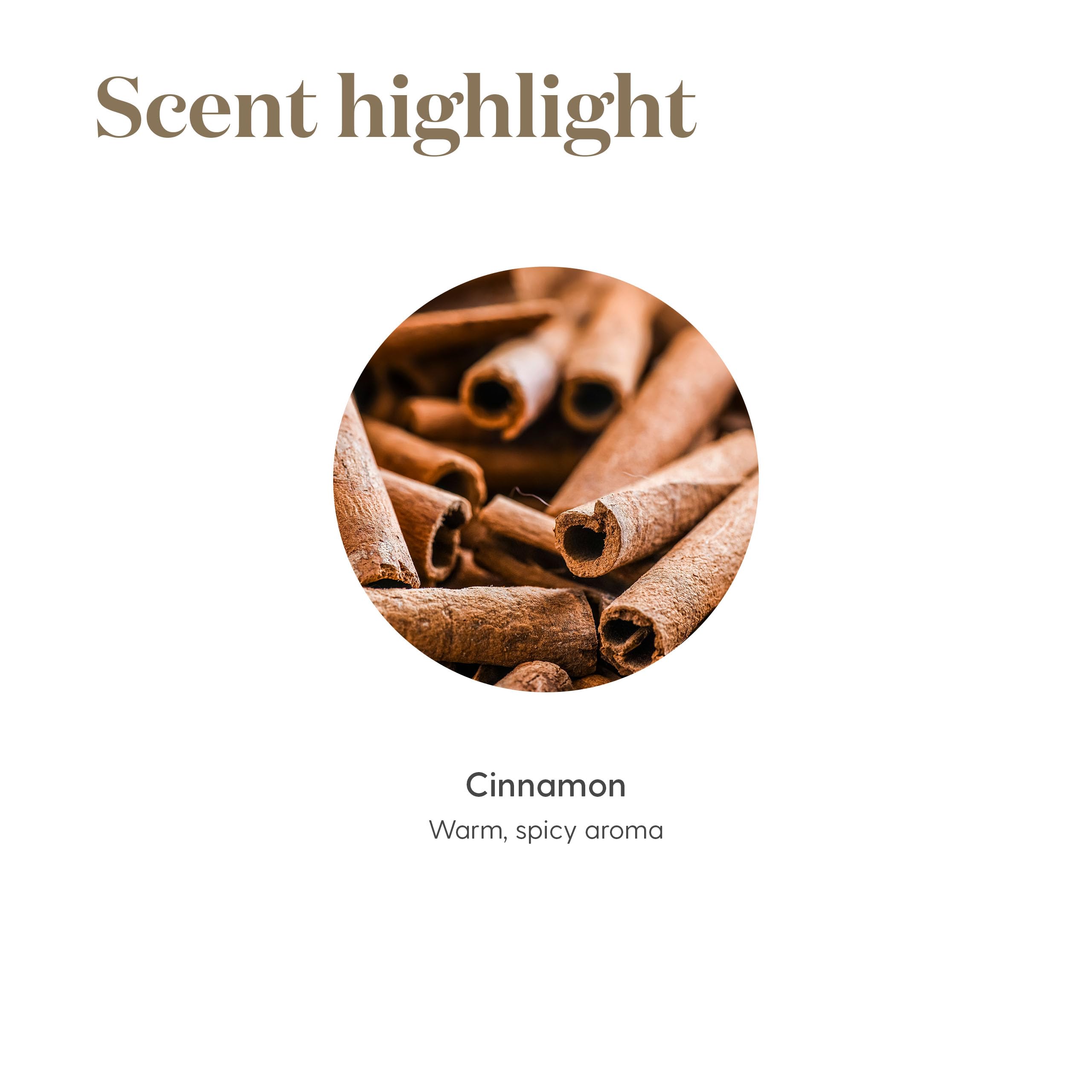 Young Living Cinnamon Bark Vitality tea pairing idea in cup.