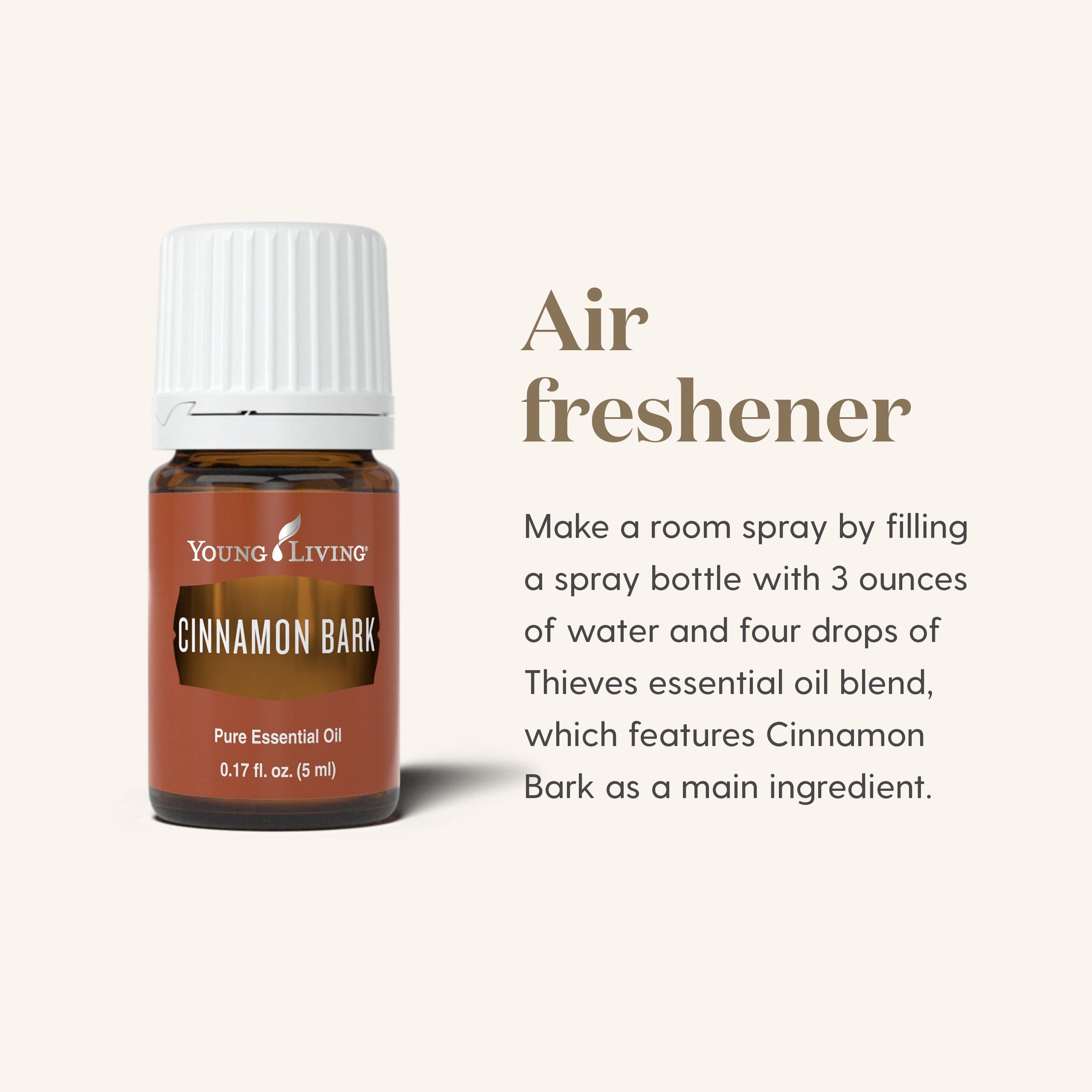 Winter cozy scene featuring Cinnamon Bark diffusion and warmth.