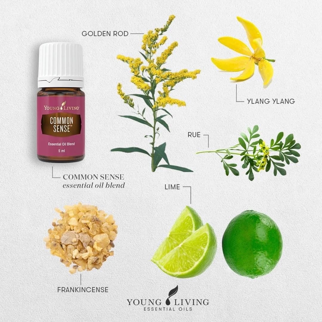 Young Living Common Sense diffuser setup illustrating easy aroma release for meditation