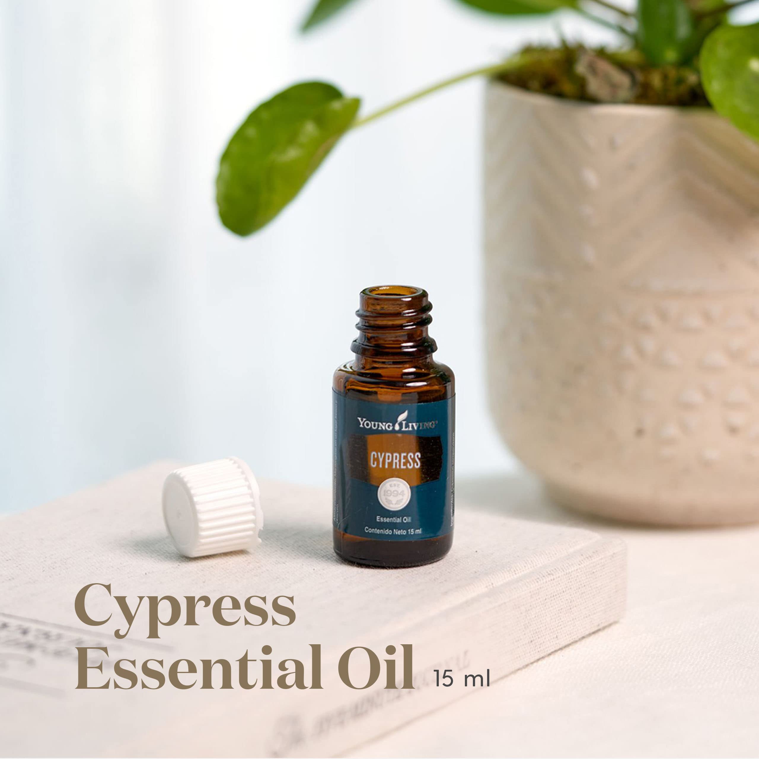 Young Living Cypress diffuser setup releasing woody aroma for a tranquil room.