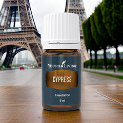 Young Living Cypress oil for hair and scalp care promotes vitality and shine.