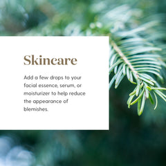 Young Living Cypress oil for skin care application refreshes the complexion.