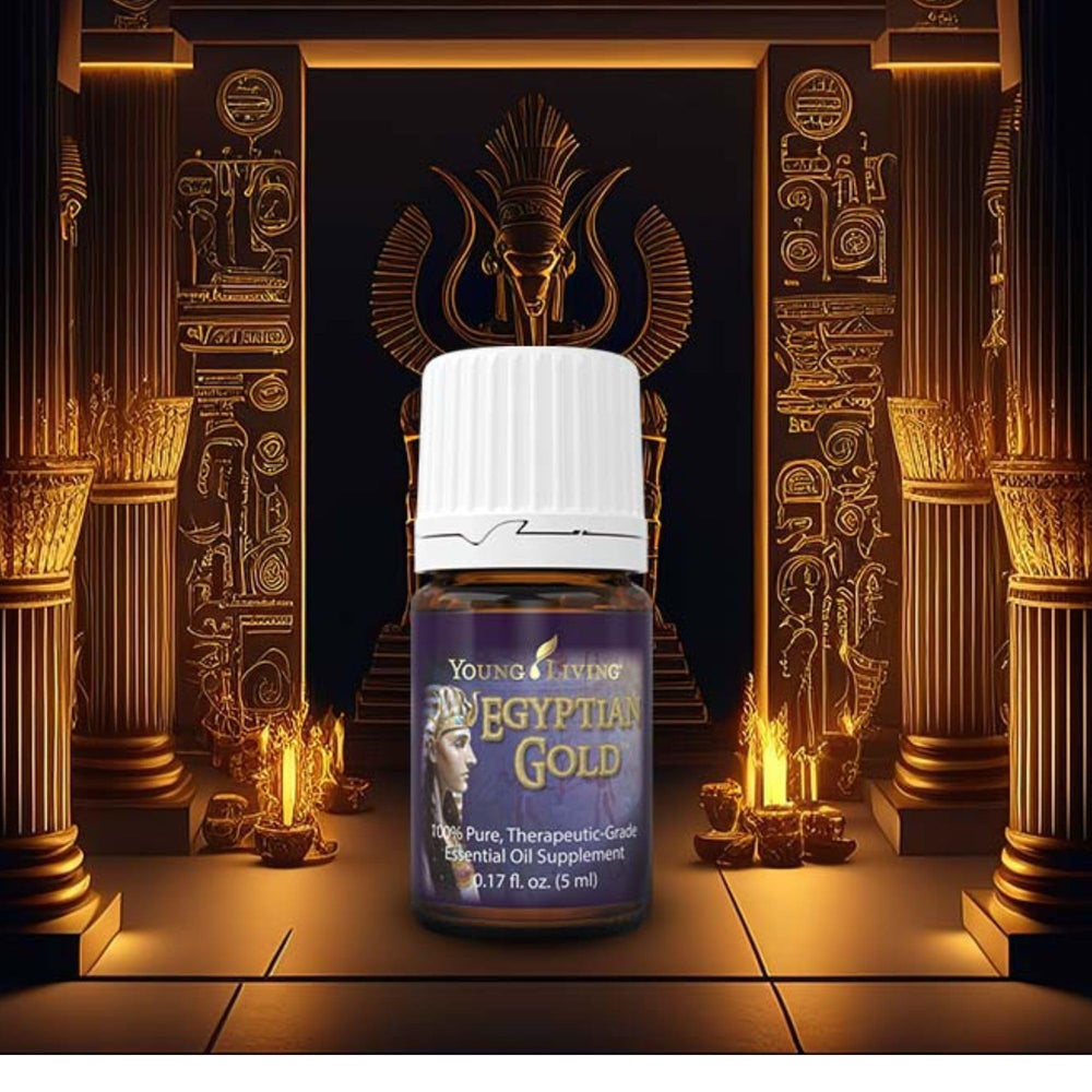 Young Living Egyptian Gold bottle close-up showcases a rich, musky scent for evening rituals.