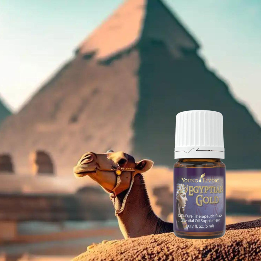 Young Living Egyptian Gold bottle pour reveals an exotic aroma ideal for sacred rituals.