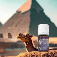 Young Living Egyptian Gold bottle pour reveals an exotic aroma ideal for sacred rituals.