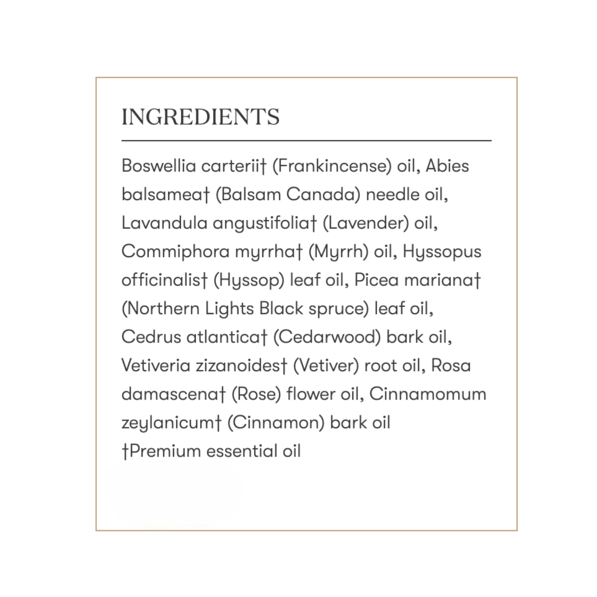 Young Living Egyptian Gold display emphasizes ancient-inspired profile for contemplation.
