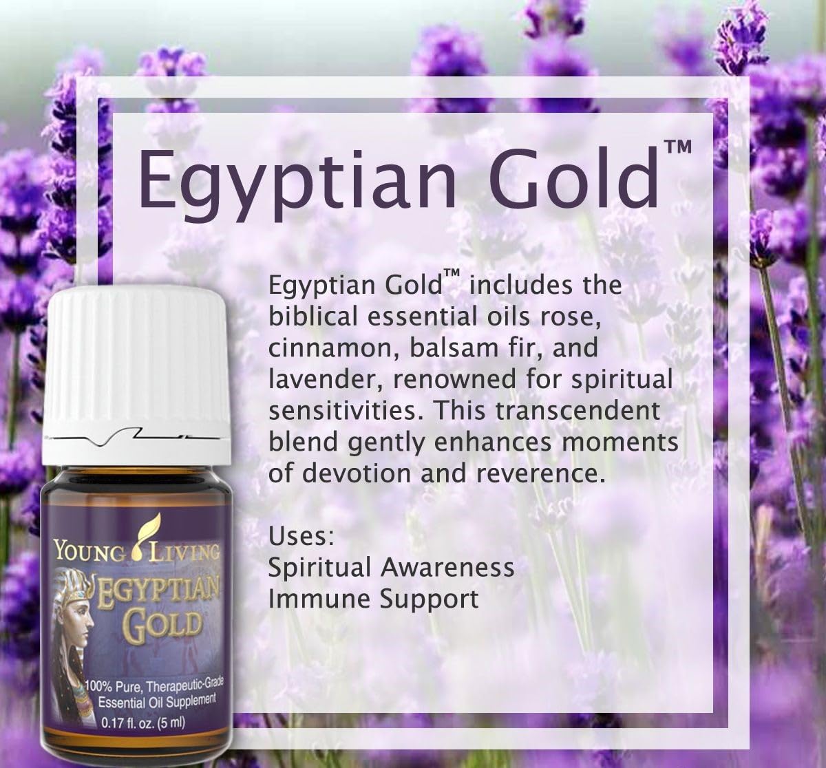Young Living Egyptian Gold vial in soft light signals ritual use during meditation.