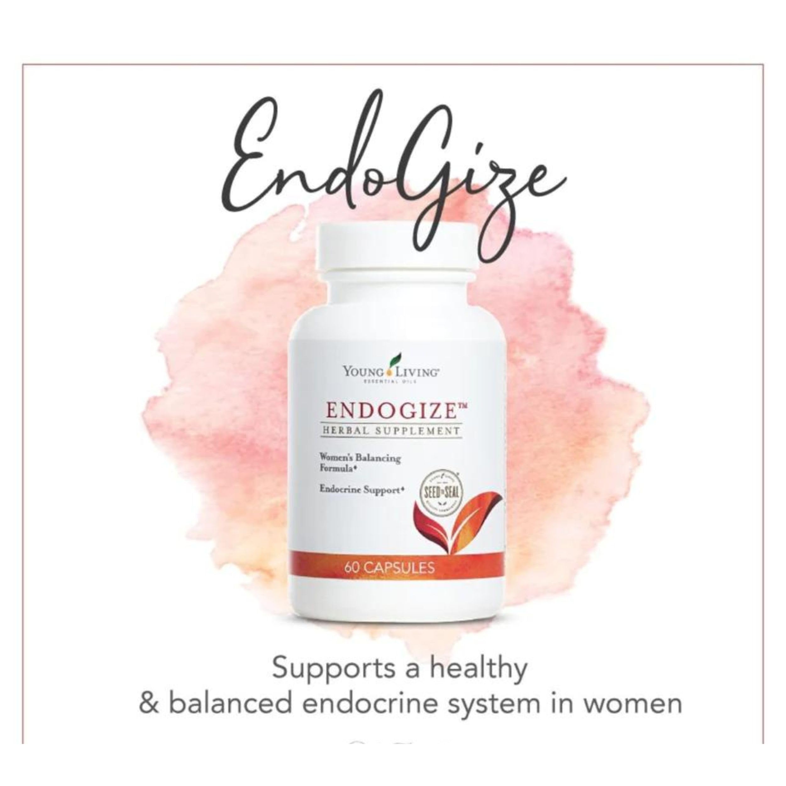 EndoGize product on a workspace highlighting daily routine integration