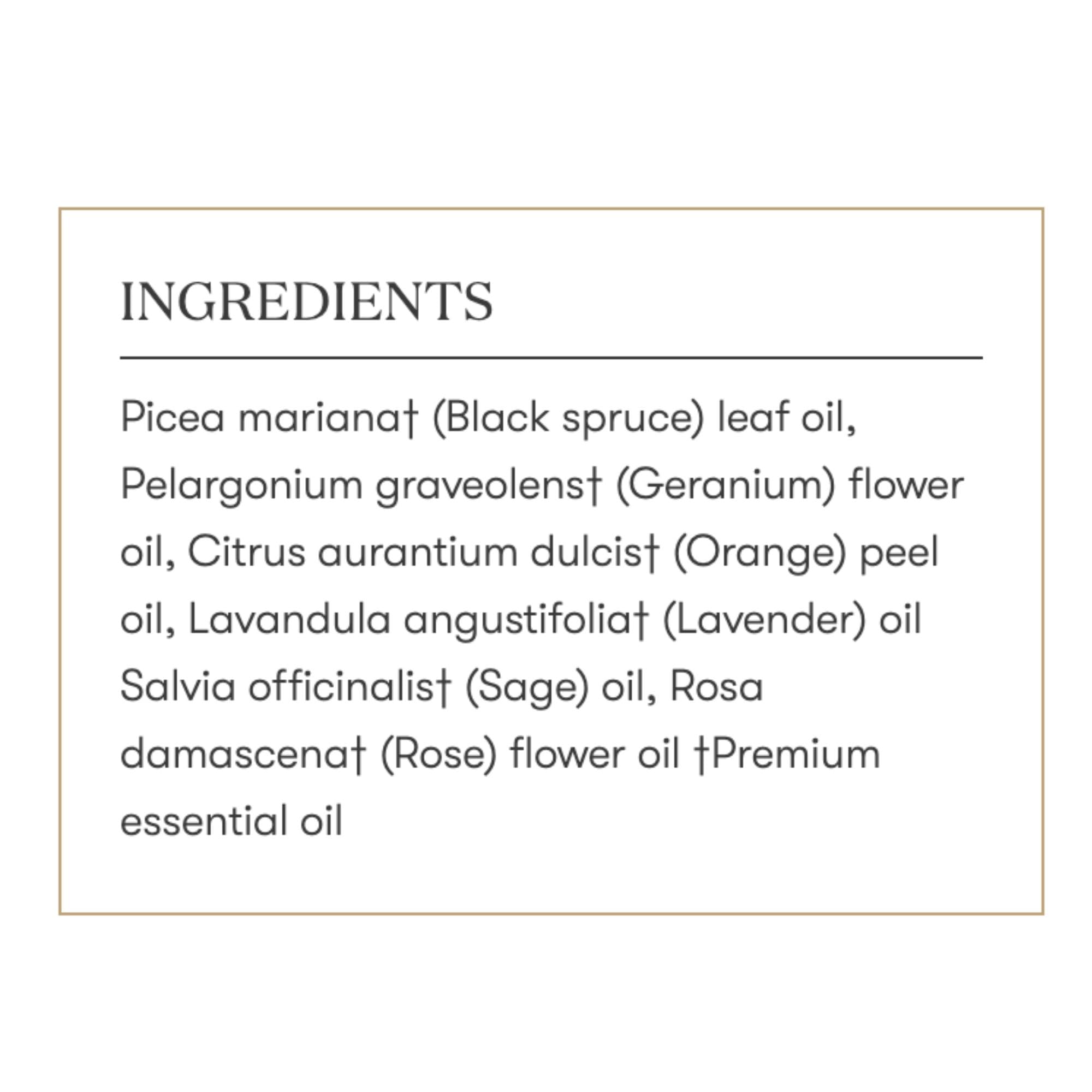 Young Living Envision calm morning scene implies enhanced focus and balance.