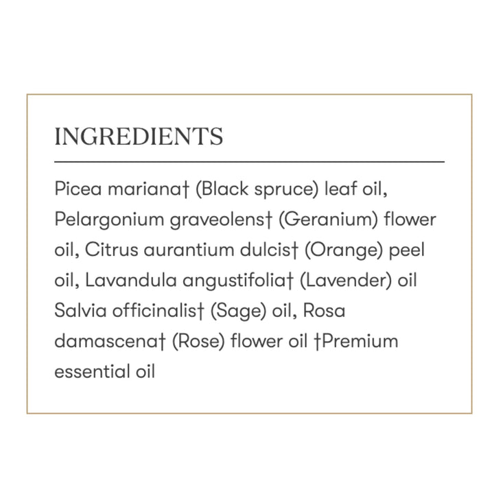Young Living Envision calm morning scene implies enhanced focus and balance.