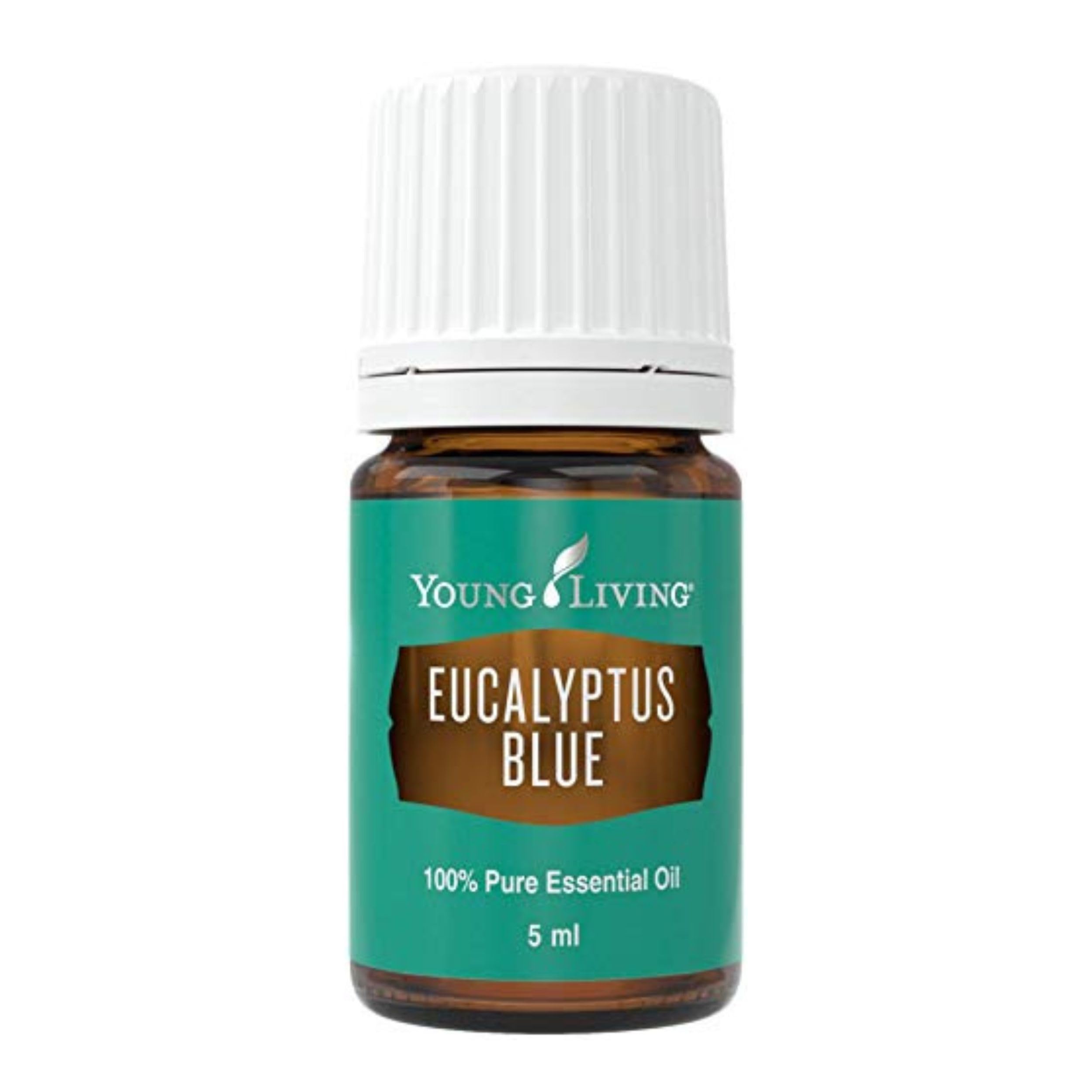 Young Living Eucalyptus Blue bottle pour for a crisp diffuser moment