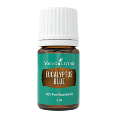 Young Living Eucalyptus Blue bottle pour for a crisp diffuser moment