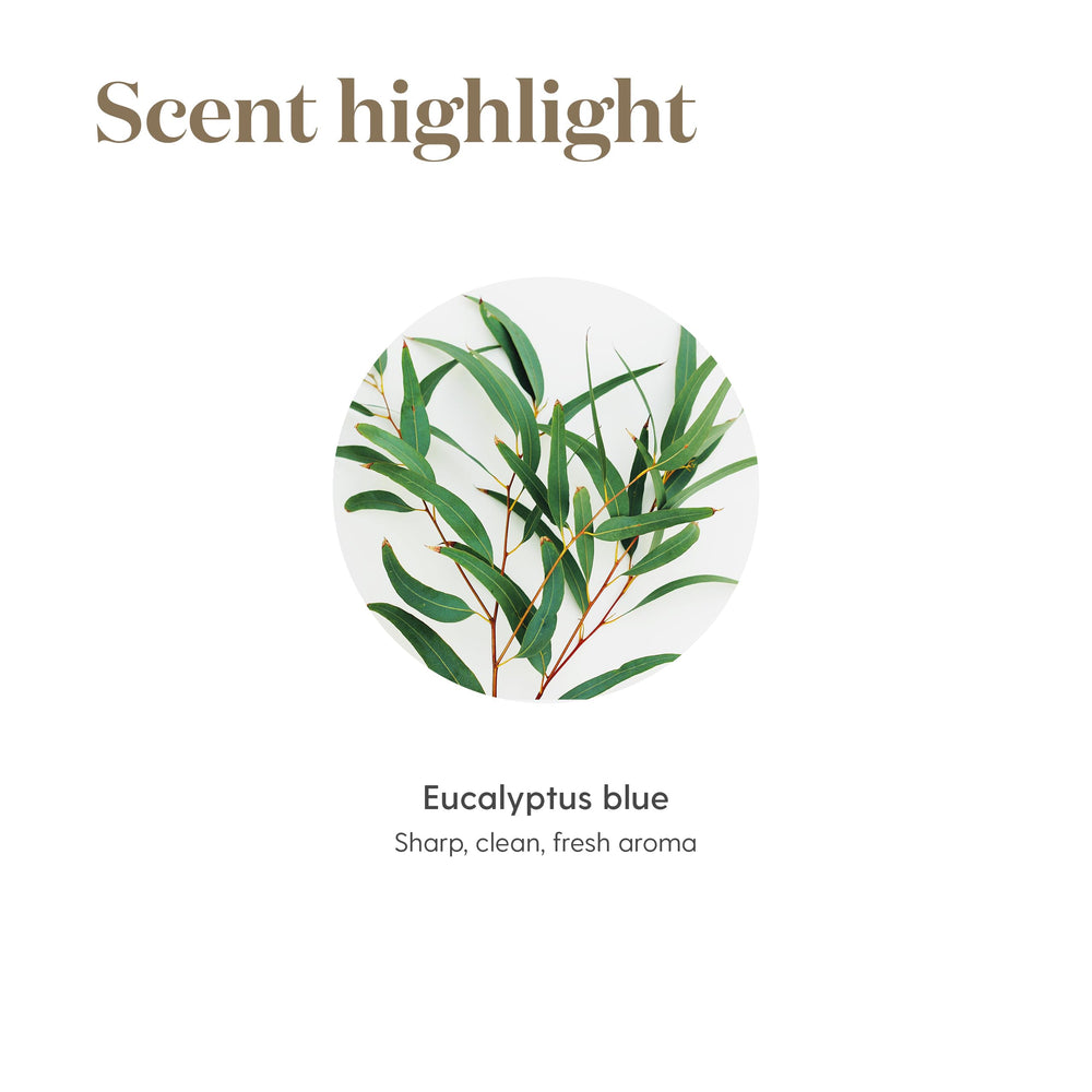 Young Living Eucalyptus Blue diffuser room promotes calm and focus
