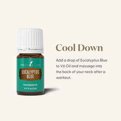 Young Living Eucalyptus Blue diffuser scene evokes a revitalizing atmosphere
