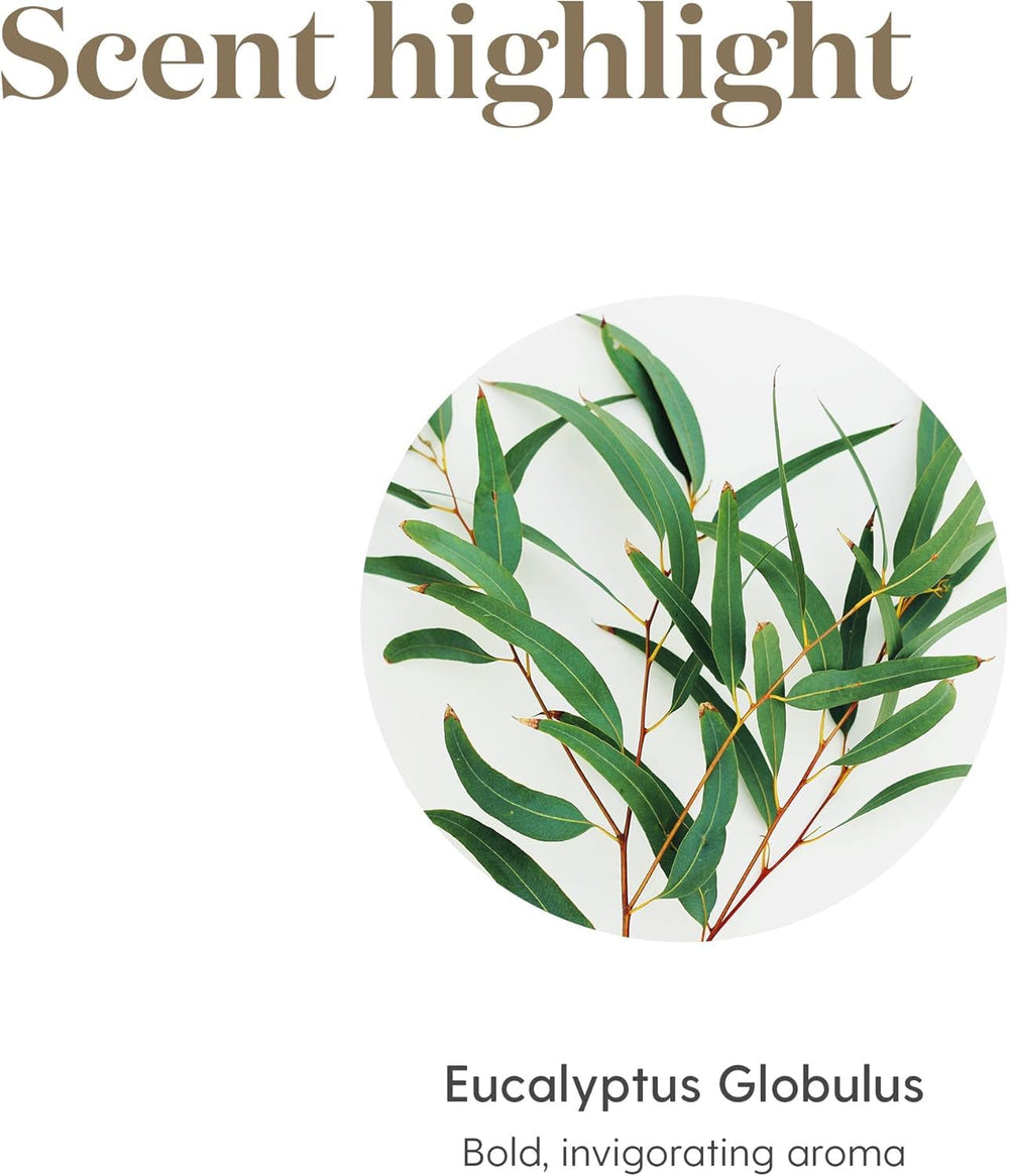 Young Living Eucalyptus Globulus seed to seal quality emphasis.