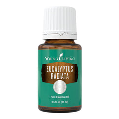 Young Living Eucalyptus Radiata 15ml bottle front, inviting an invigorating mood.