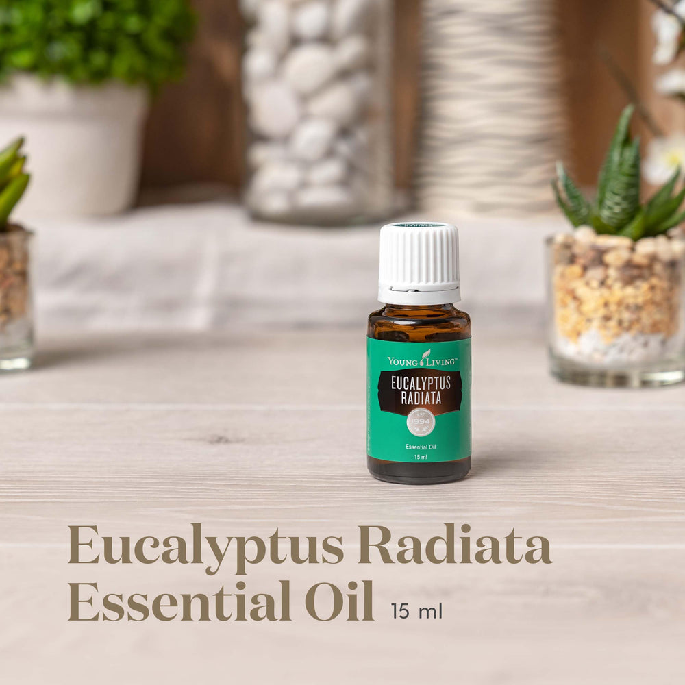 Young Living Eucalyptus Radiata 15ml bottle label closeup, ideal for uplifting spaces.