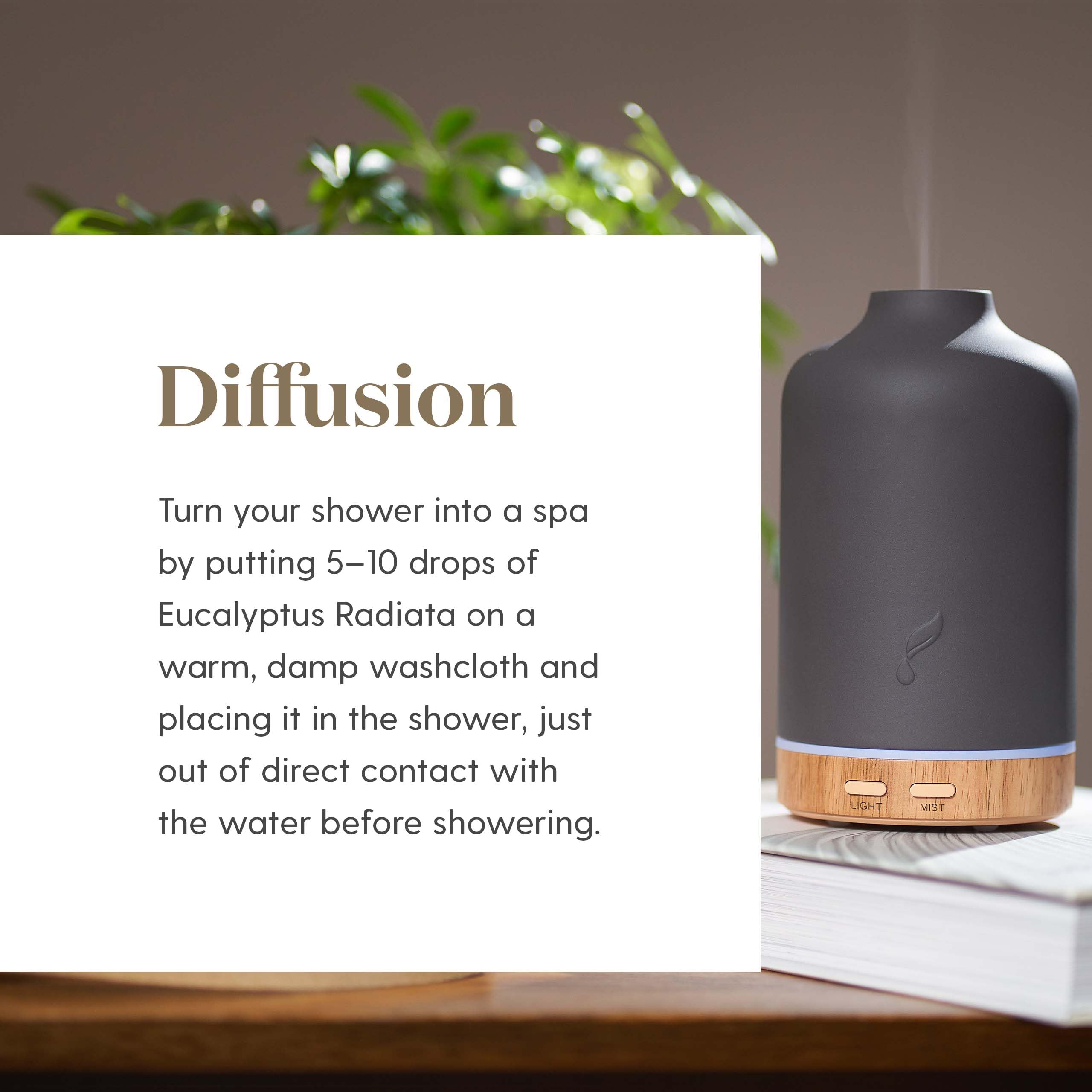 Young Living Eucalyptus Radiata diffuser steam releasing a camphoraceous, energizing scent.