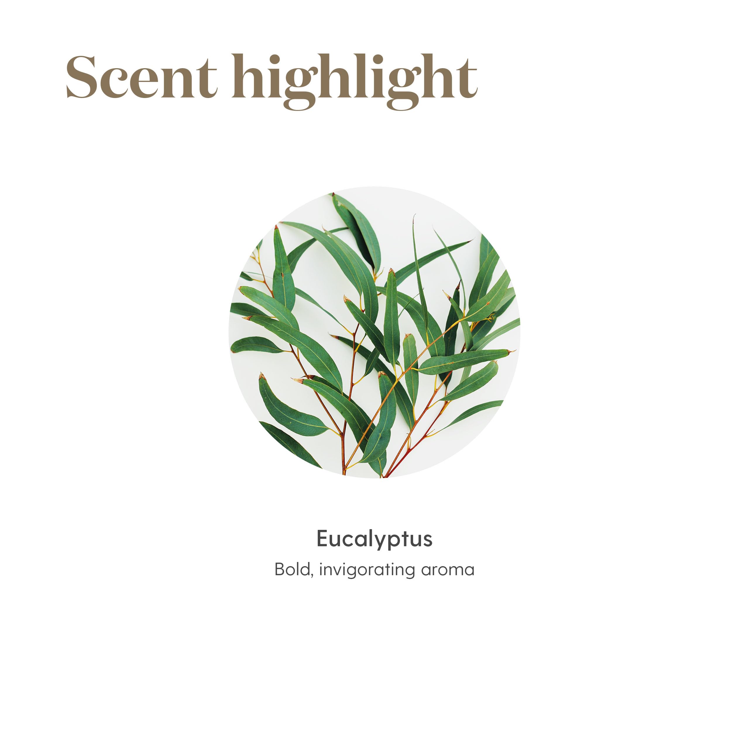 Young Living Eucalyptus Radiata massage application promoting soothing post-activity relaxation.