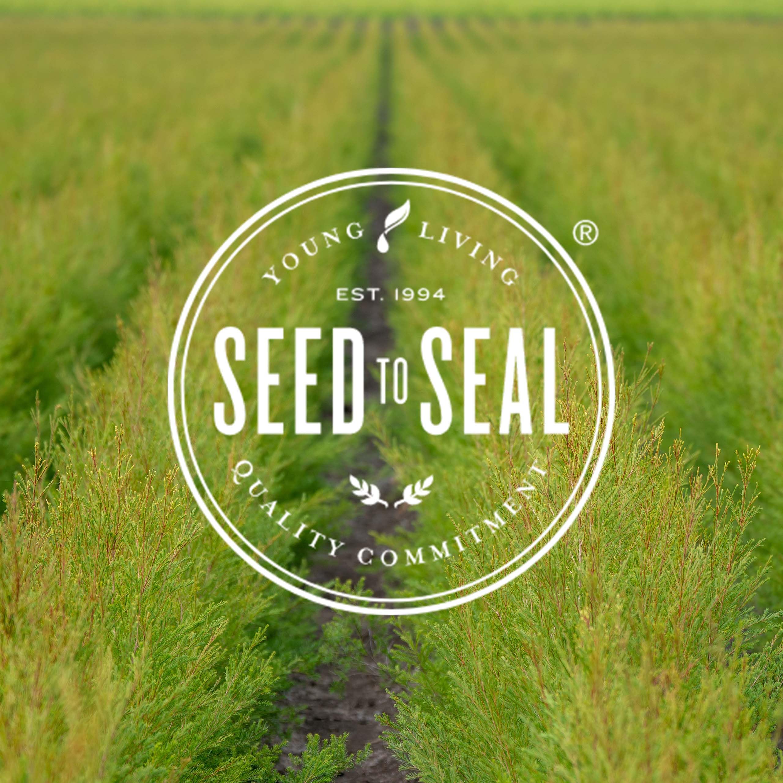 Young Living Eucalyptus Radiata vegan-gluten-free icons on packaging, signaling clean ingredients.