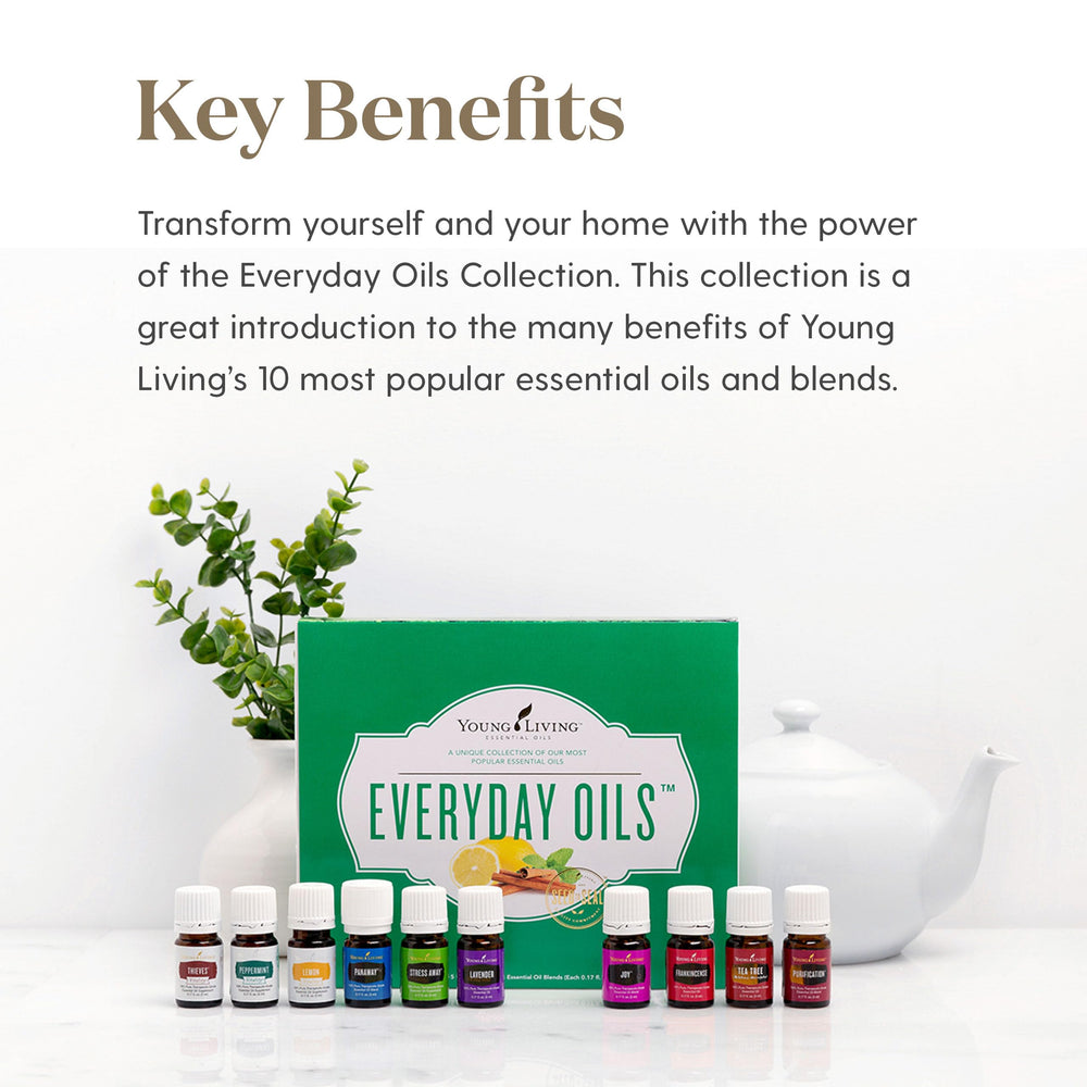 Packaging and presentation of Young Living Everyday Oils Collection
