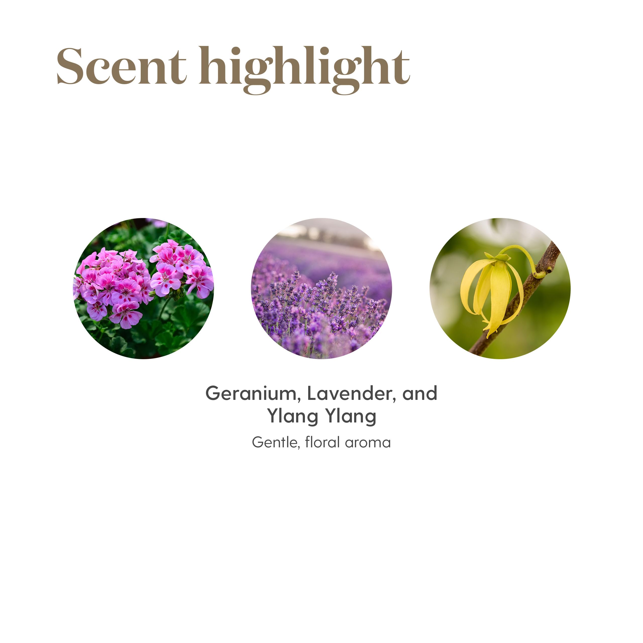 Young Living Gentle Baby on bath time setup to create a gentle aroma.