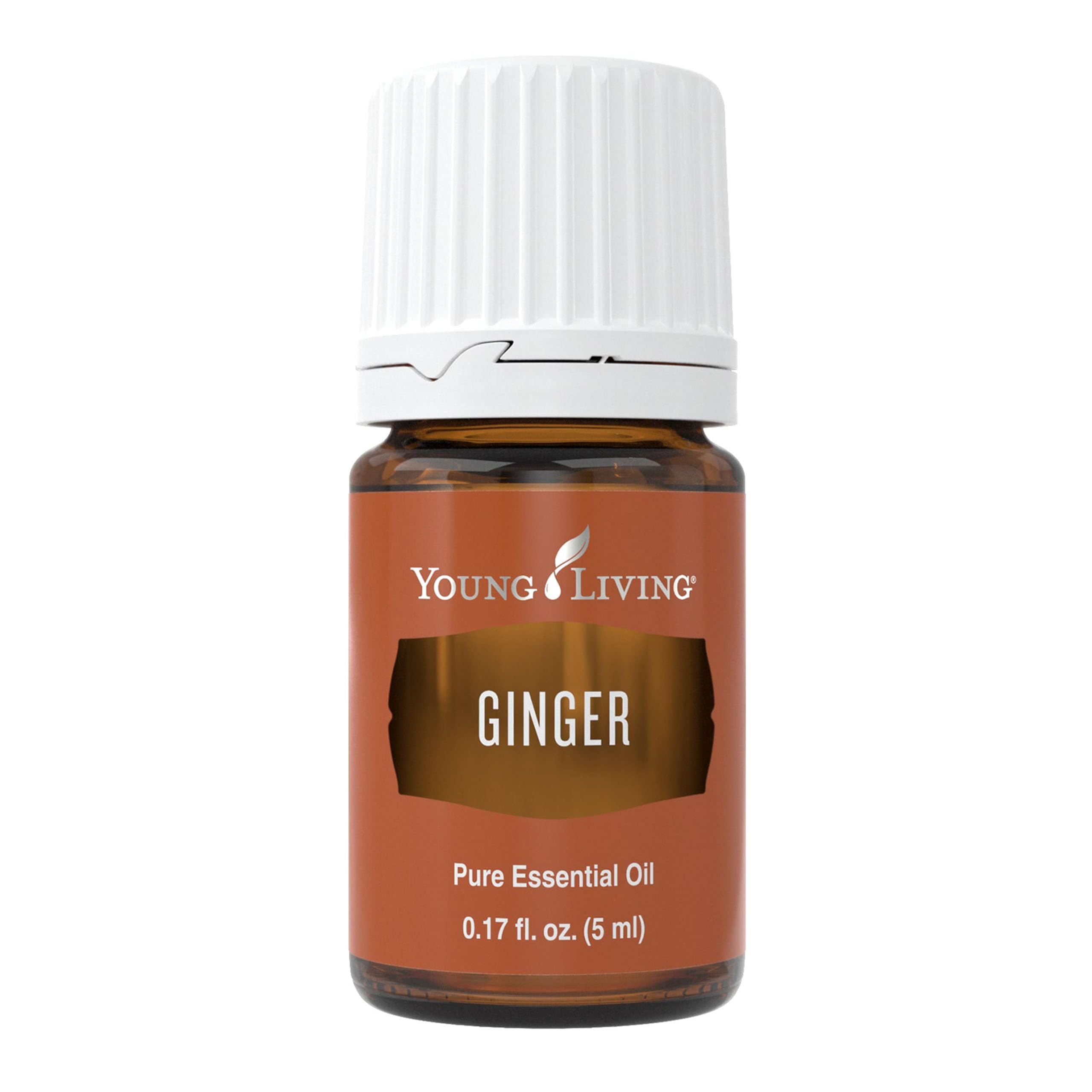 Young Living Ginger Essential Oil 5ml bottle front view for aromatic use