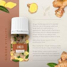 Young Living Ginger Vitality 5ml drops ideal for savory recipes and infusion on the go.