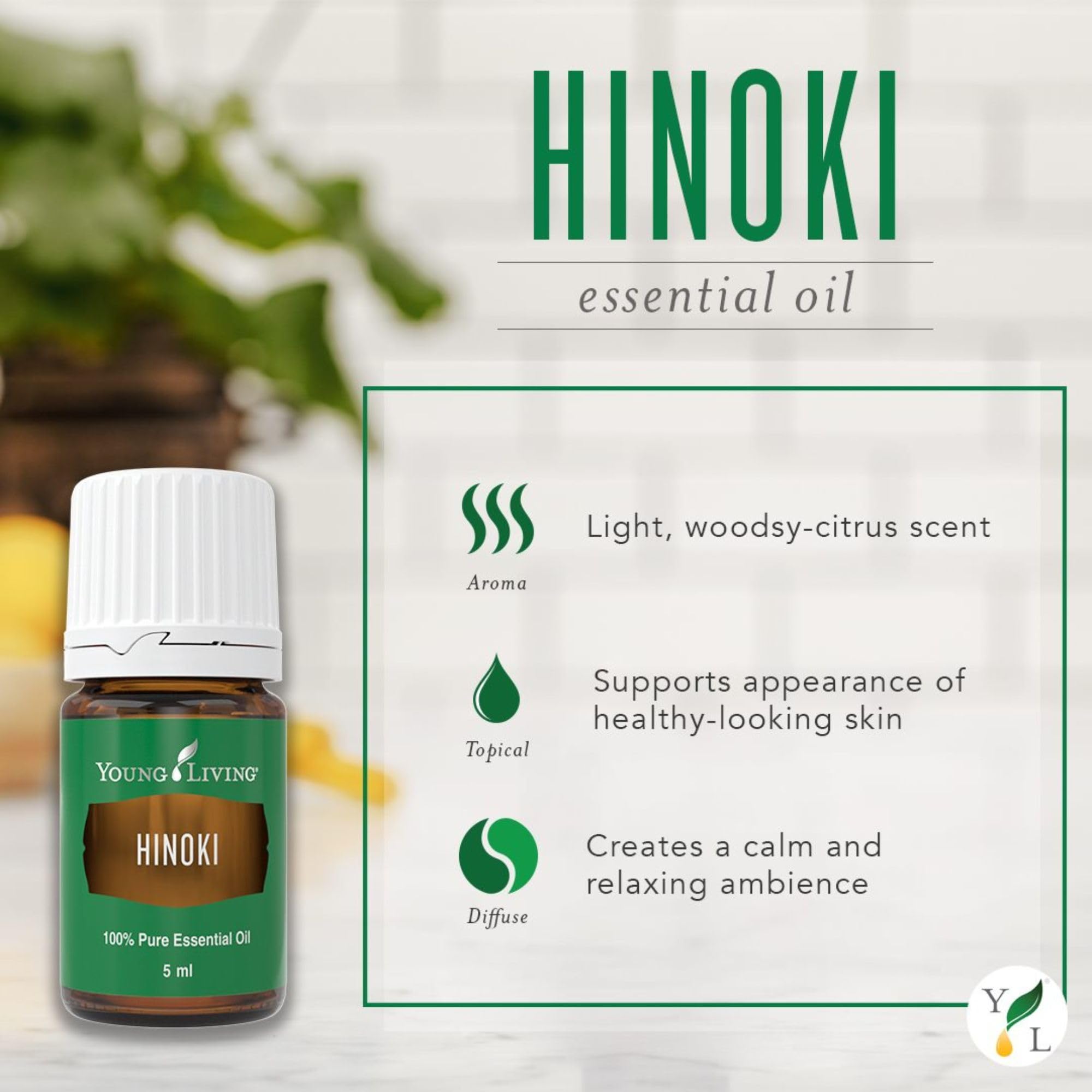 Hinoki essential oil drops used for calming daily rituals.