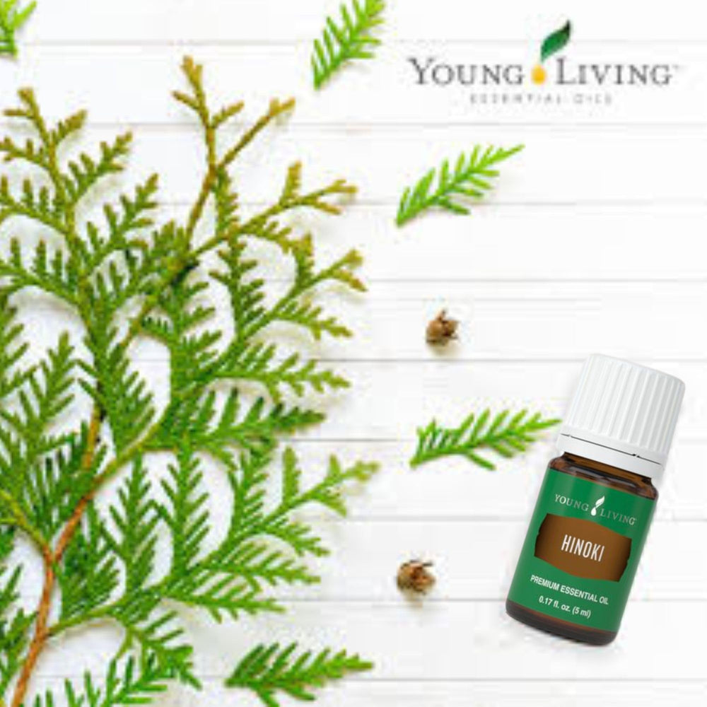Hinoki essential oil diffuser during meditation for serene focus.
