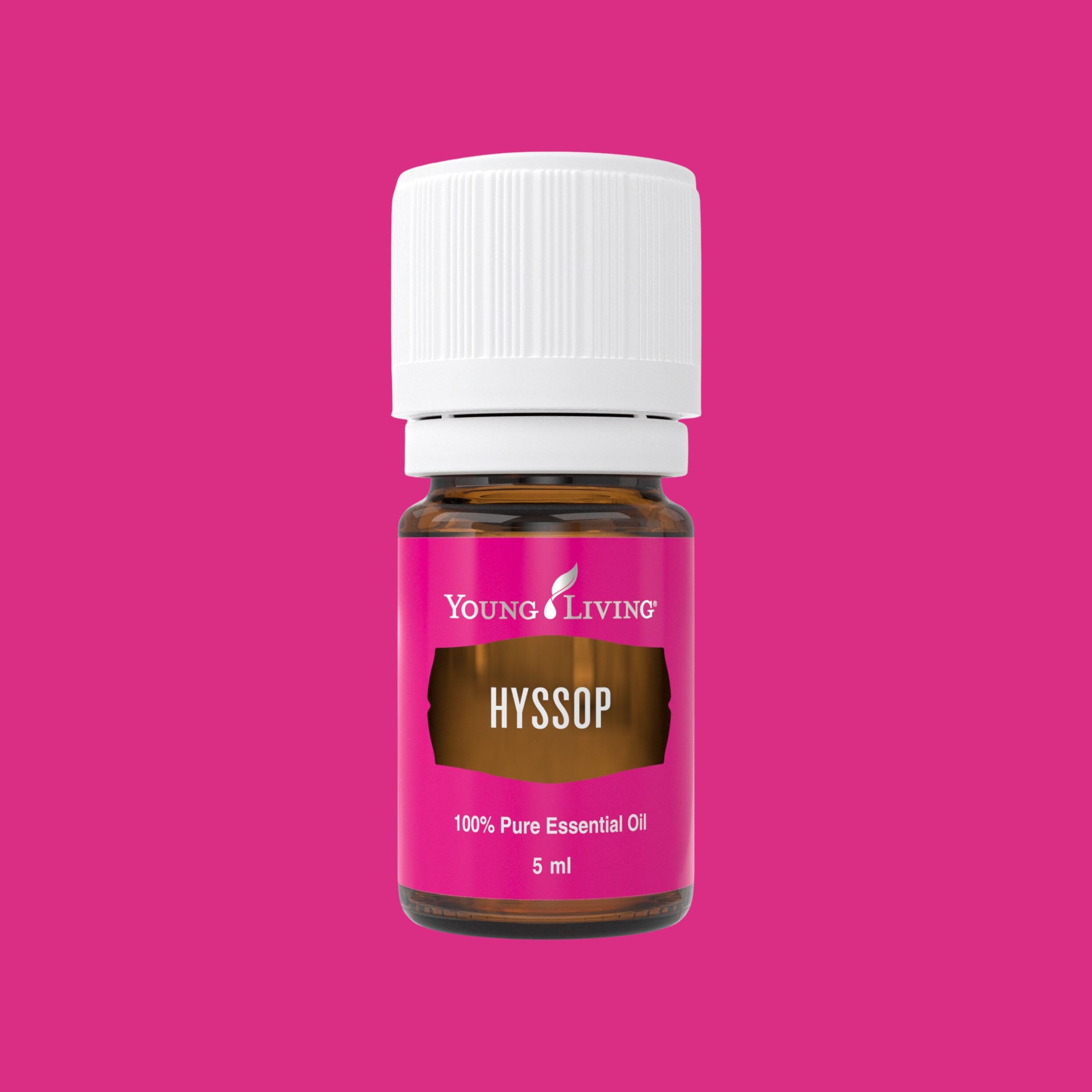 Meditation setup featuring Hyssop oil to enhance calm and awareness.
