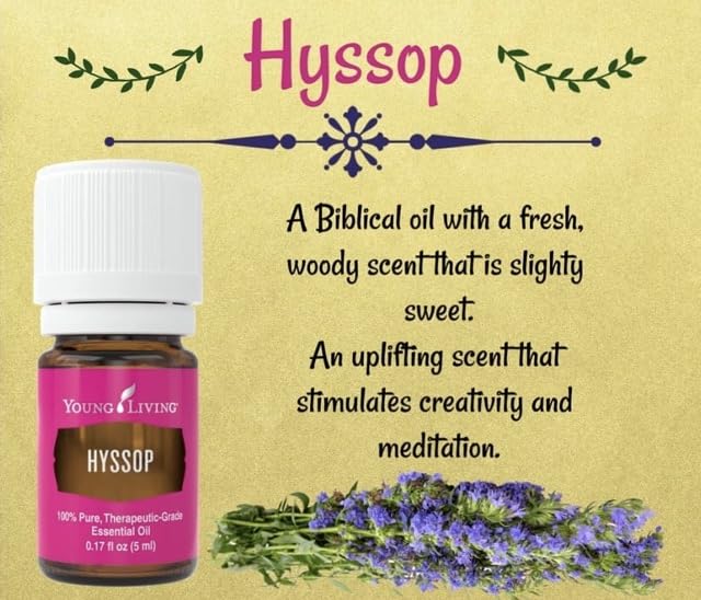 Diffuser scene with Hyssop creating a tranquil, focused atmosphere.