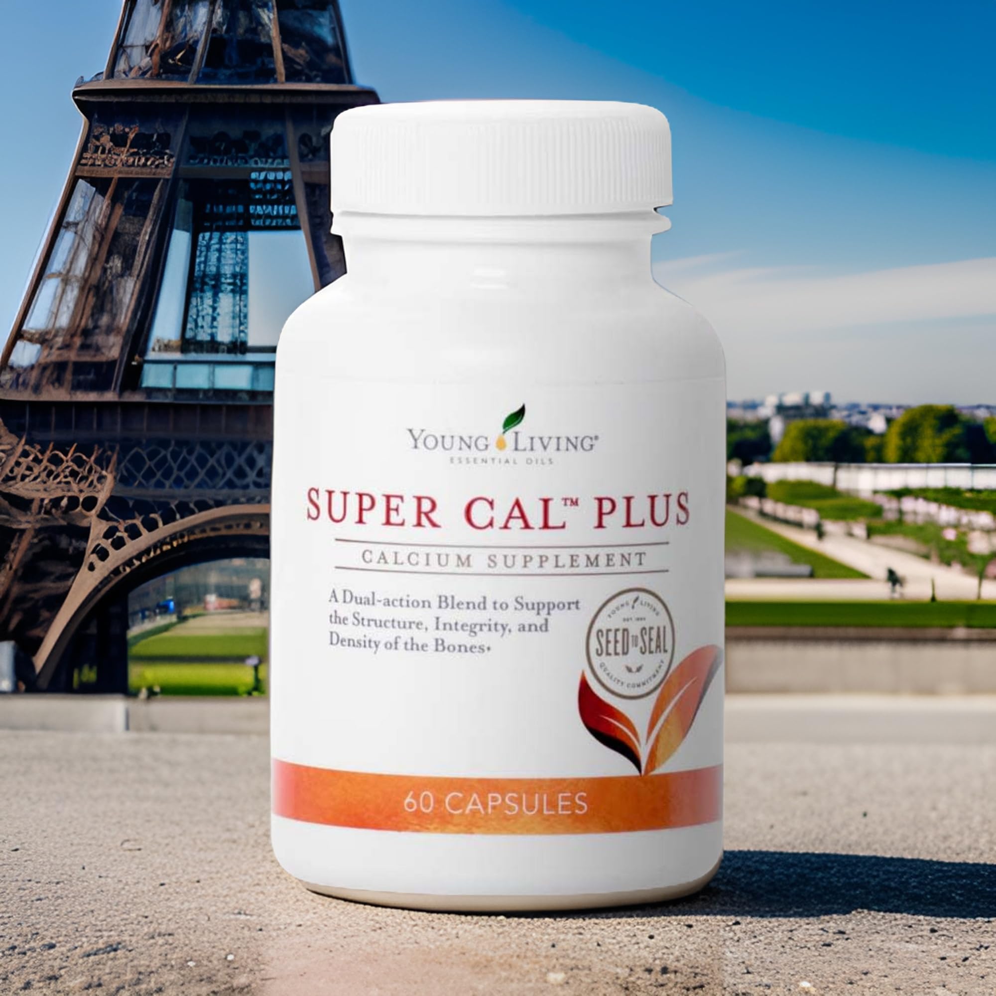 Icelandic red algae minerals are featured for purity in Young Living formula.