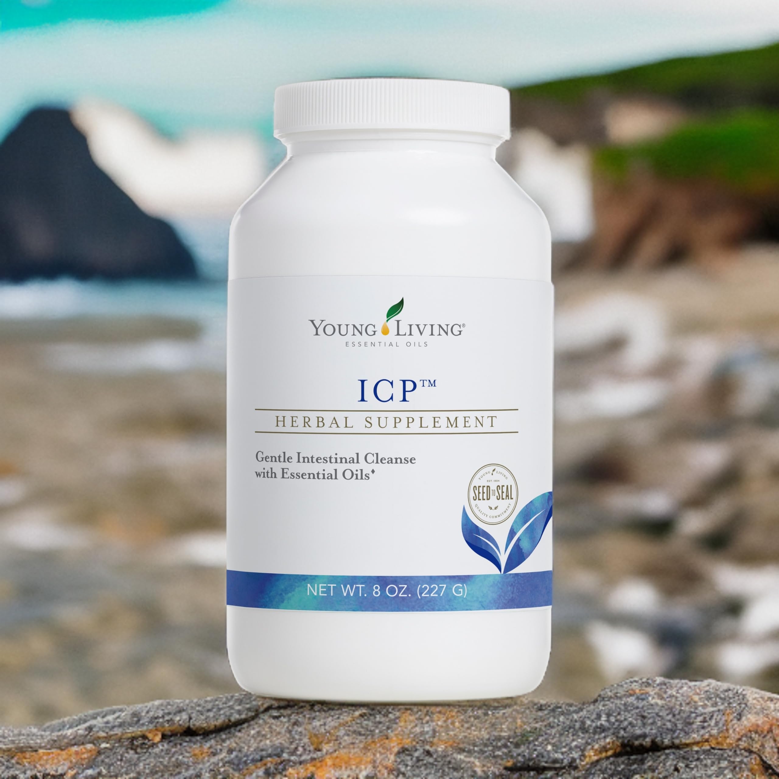 Natural fennel, anise, and ginger accents in ICP blend.