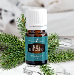 Young Living Idaho Blue Spruce diffuser releasing calming aroma for meditation.
