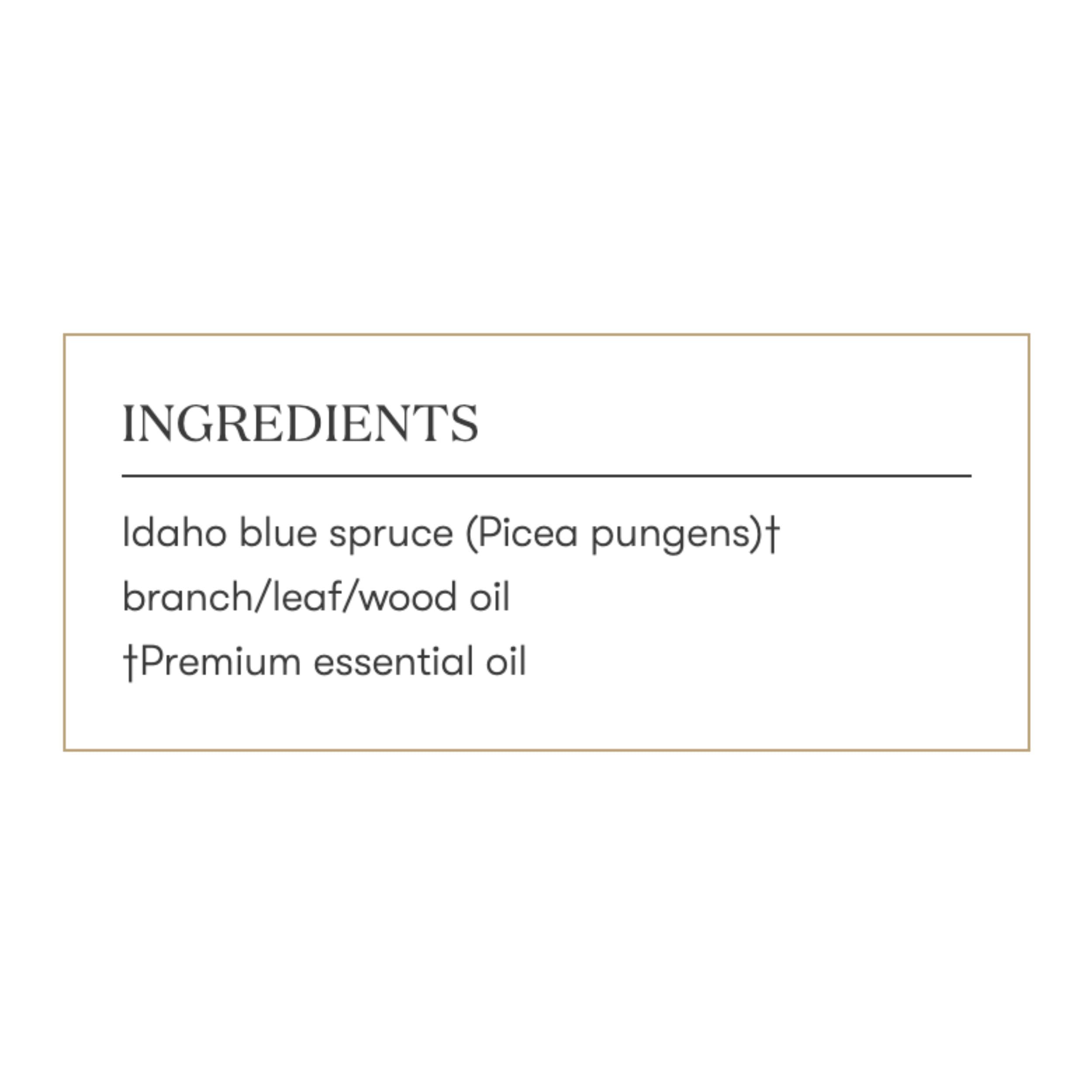 Young Living Idaho Blue Spruce on natural background highlighting purity.