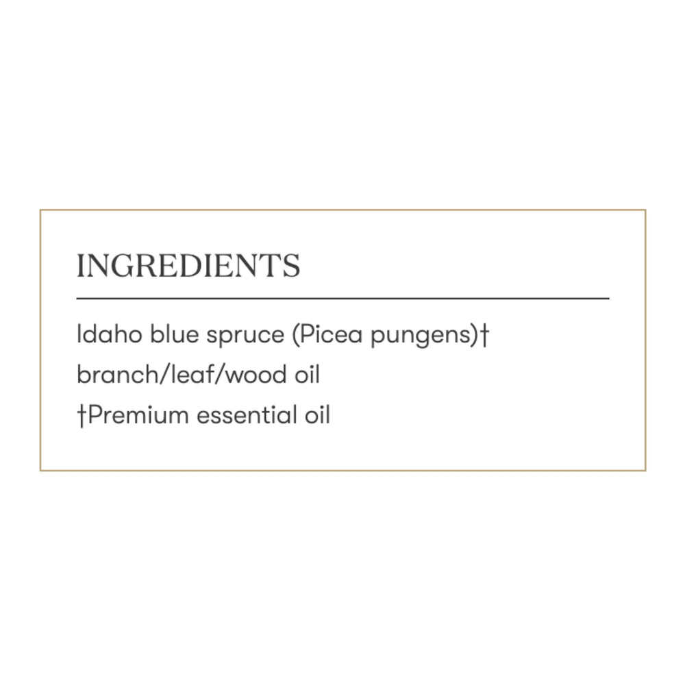 Young Living Idaho Blue Spruce on natural background highlighting purity.