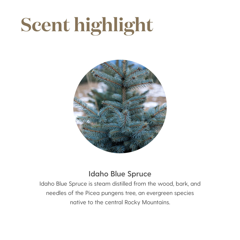 Young Living Idaho Blue Spruce oil drop on skin after workout.
