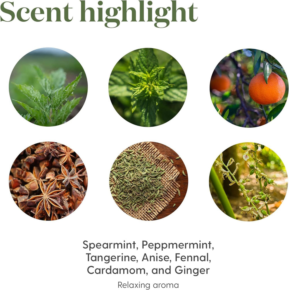 Young Living KidScents TummyGize aroma promotes grounding in any room