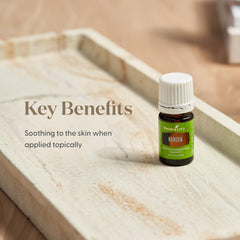 Young Living Kunzea essential oil bottle in diffuser scene for calming aroma.