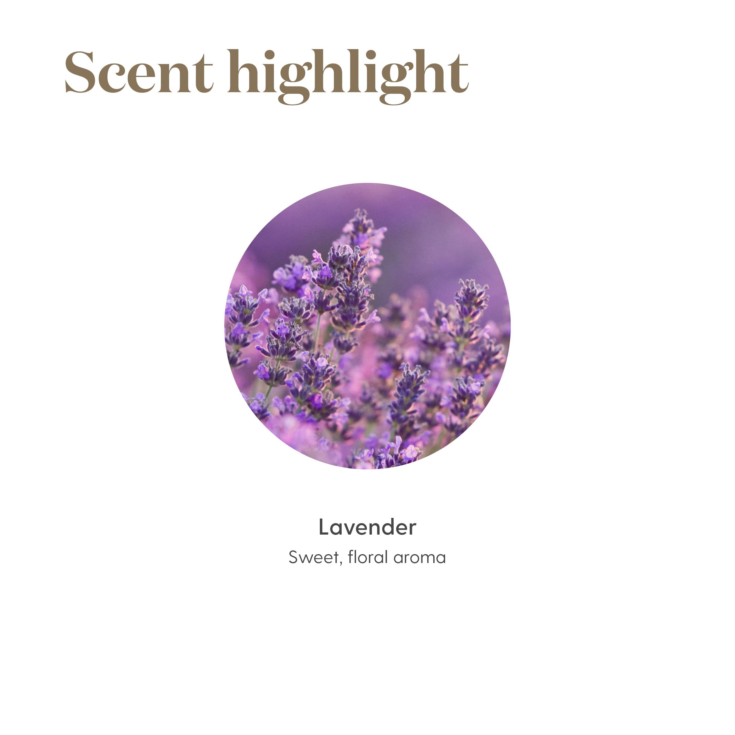 Bedside diffuser with Young Living Lavender Oil for a calm evening routine.