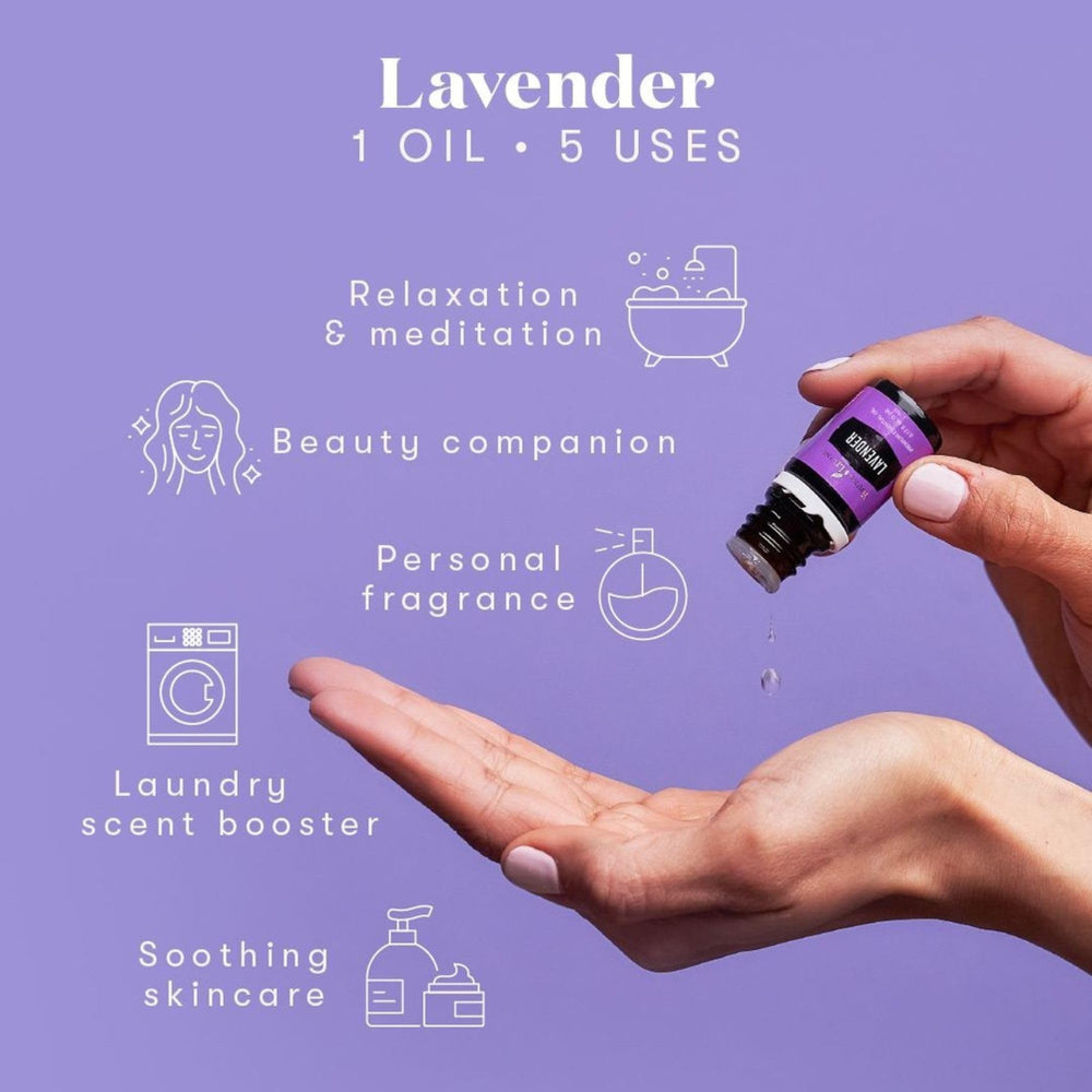 Young Living Lavender Oil diffuser setup showing calm ambiance.