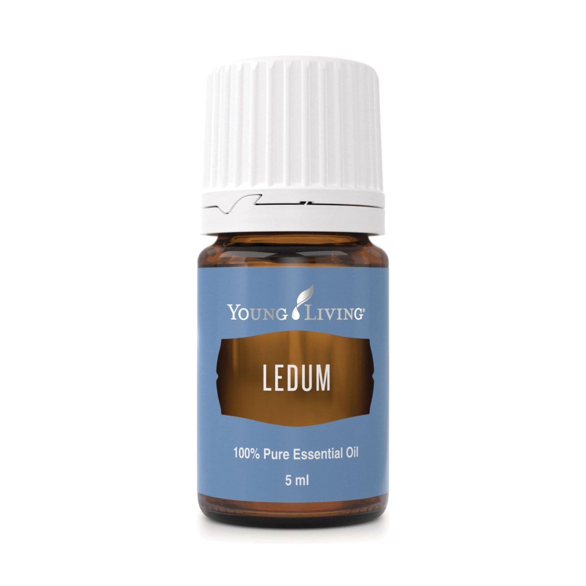 Young Living Ledum Premium Oil bottle ready for meditation aroma