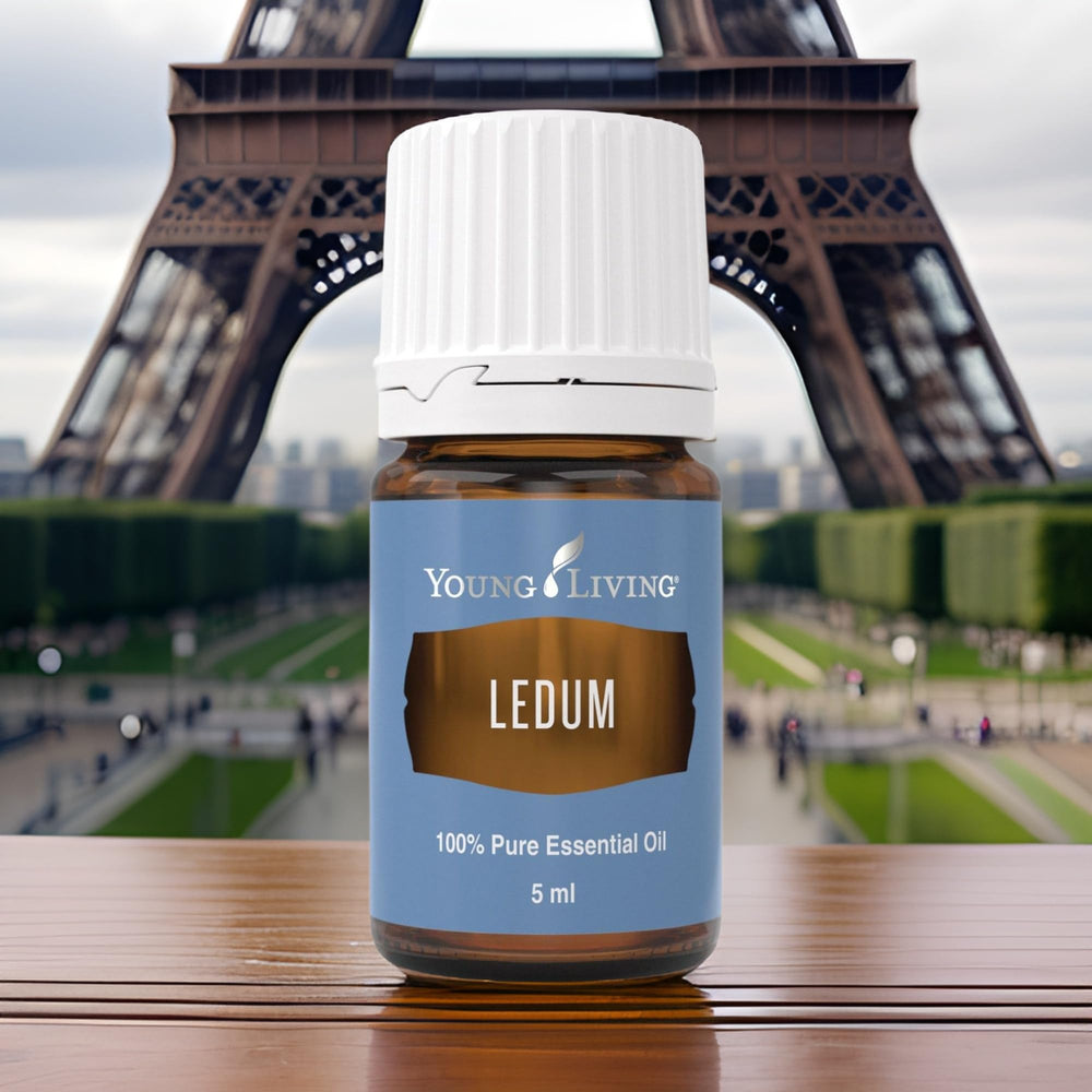 Ledum aroma supports meditation and cleansing rituals